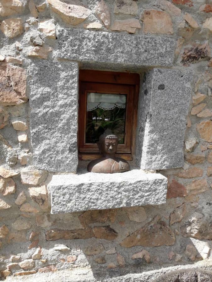 El Solei Paraiso En El Montseny Arbucies Ngoại thất bức ảnh