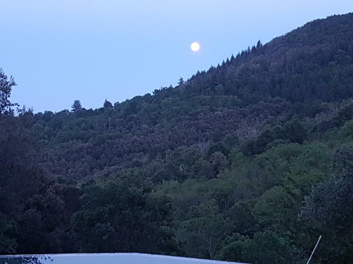 El Solei Paraiso En El Montseny Arbucies Ngoại thất bức ảnh