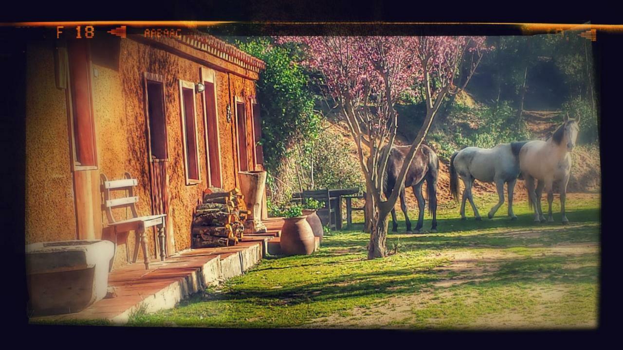 El Solei Paraiso En El Montseny Arbucies Ngoại thất bức ảnh