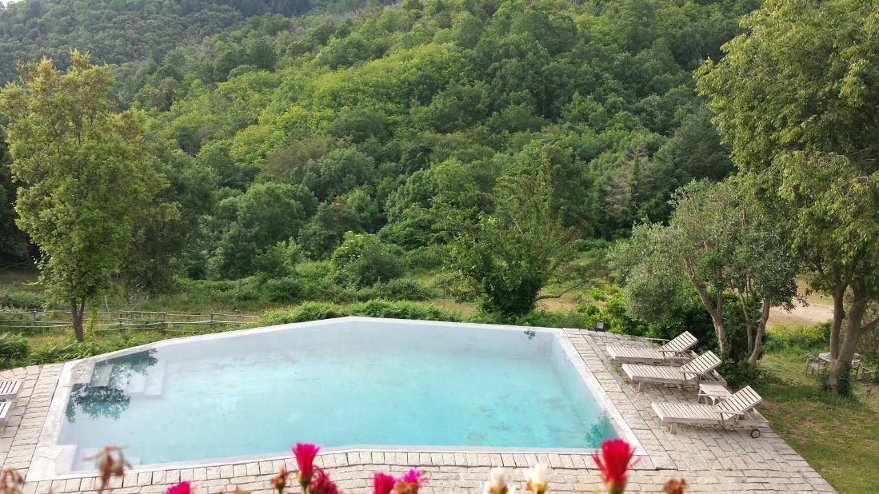 El Solei Paraiso En El Montseny Arbucies Ngoại thất bức ảnh